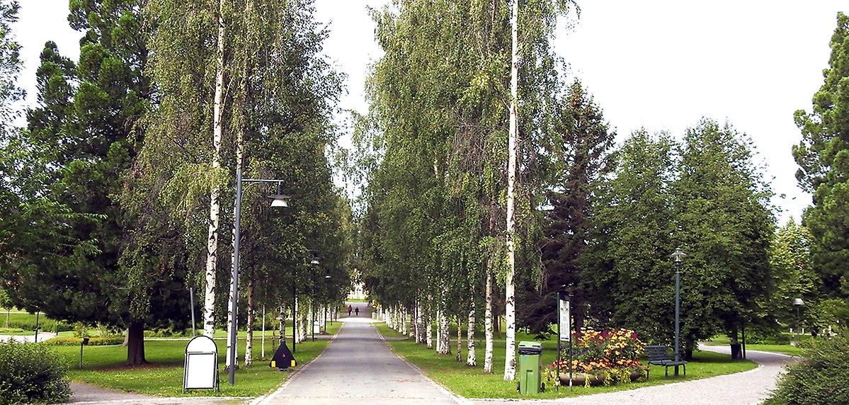 Hermelinsparkens allé med Residenset i bakgrunden